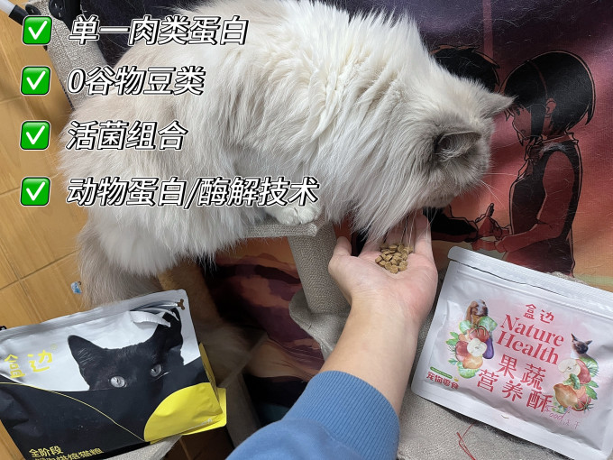盒边猫咪干粮