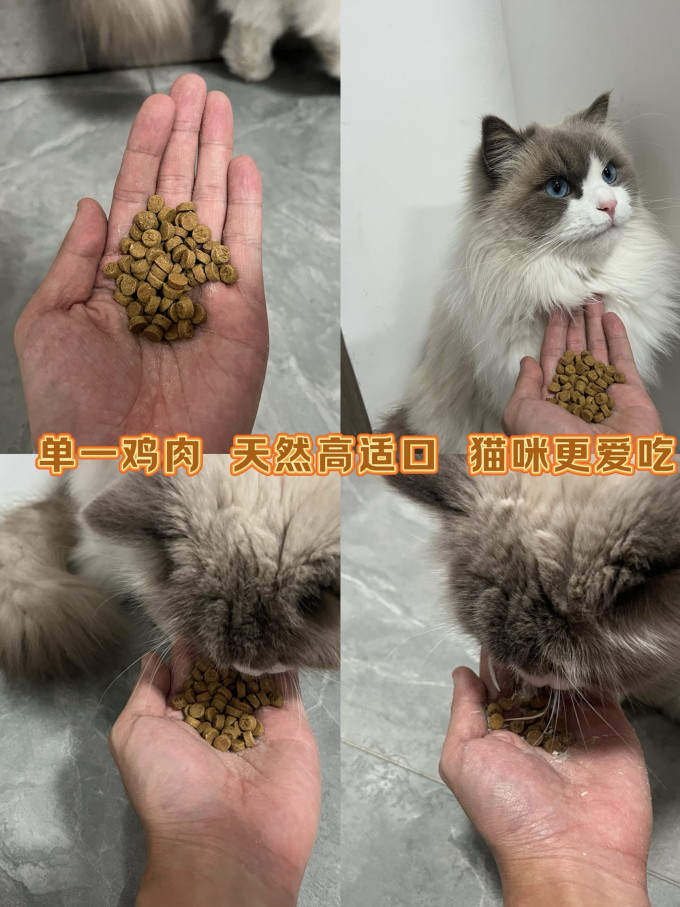 盒边猫咪干粮