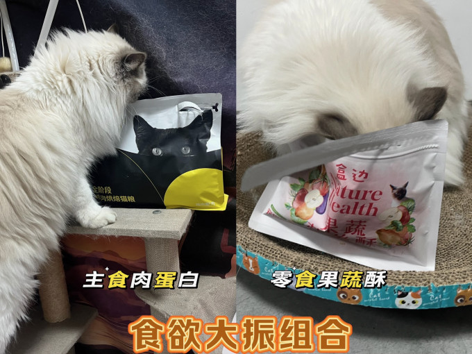 盒边猫咪干粮