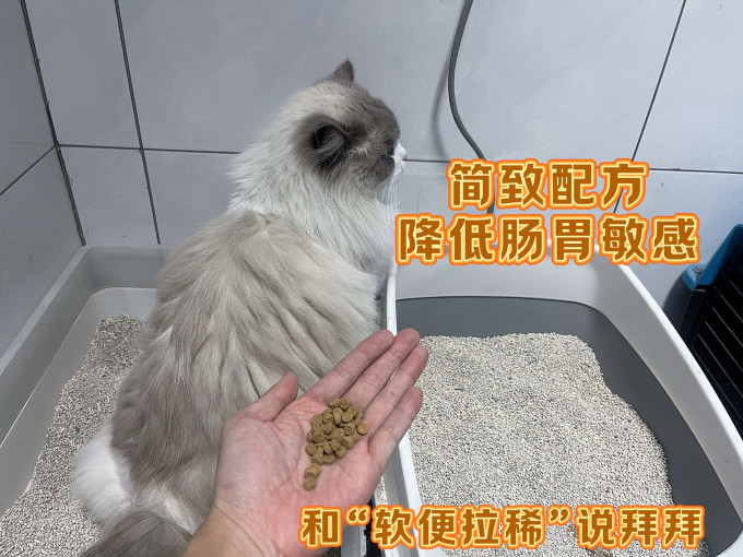 盒边猫咪干粮