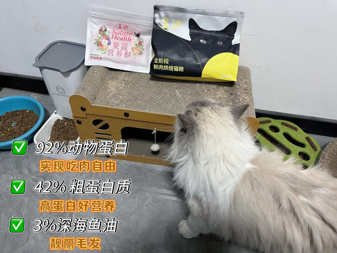 盒边猫咪干粮