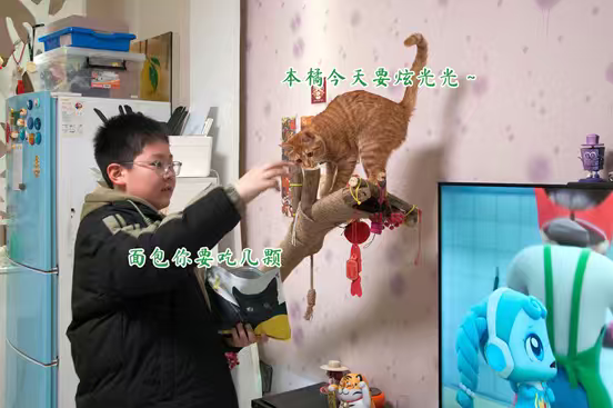 大橘瘦成小细条,换盒边烘焙粮后终于贴膘了