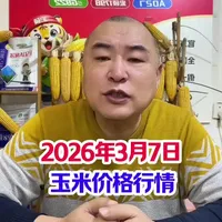 #三农 #玉米价格行情