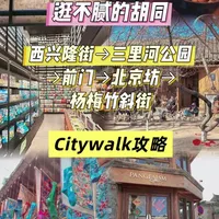第160集超级适合北京春节的citywalk路线来了 第160集 | 春暖花开，北京的天气实在太好了，推荐一条胡同citywalk特别适合一个人静静的闲逛放空，全程不到三公里，不走回头路，线路图在结尾，赶紧码住！#北京旅游 #citywalk #周末去哪儿 #北京citywalk #春天来了