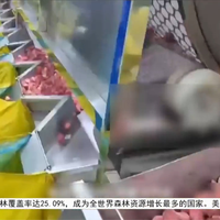 福建：冻干草莓重金属农药超标 县市监局：暂无国标不予立案