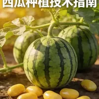 全网疯传的西瓜“神操作”：埋黄豆、躺着种，其实全是在害苗！ #这是个真实的事情 #行业大揭秘 #就想说点大实话 #说真话独立思考 #农业种植