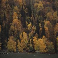 Provia 100F凭宽容度胜出，Velvia 50与E100如何取舍？