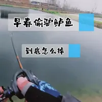 #早春路亚 #鲈鱼偷驴#路亚新手入门教程  #路亚技巧 #哈斯达骑士DC 早春路亚鲈鱼偷驴总空军？直接连杆！