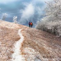 轻量化徒步裤该配腰带吗？500+用户观点大碰撞