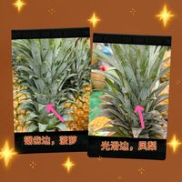 不知火丑橘 vs 徐闻金钻凤梨?我们汇总了68位用户真实体验,结论在这