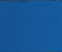 「达人说」4道宠物喂养冷知识，你能答对吗？