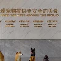 帅克宠物食品：宠物食品崛起之路