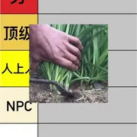锐平热门游戏鼠标从夯到拉，看看你的鼠标会在哪里
#游戏鼠标#无线鼠标#鼠标推荐#鼠标控制一切#纽曼夜刃A7游戏鼠标