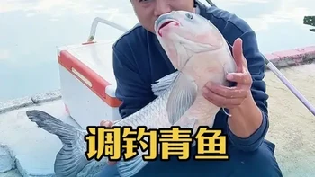 调钓青鱼最简单实用的调漂方法 调漂找底一气呵成#青鱼 #dou来钓鱼 #江河湖海我有川泽 #原来钓鱼才是抖音运动顶流 #令狐师兄钓鱼