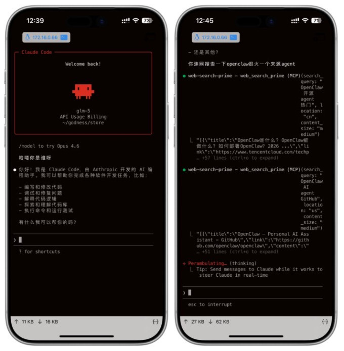 蒲公英网络存储