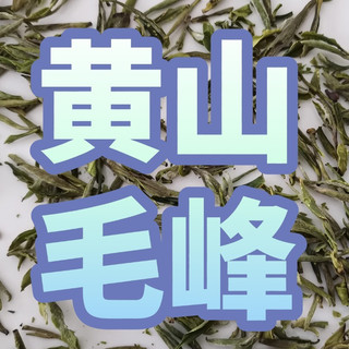 黄山毛峰上市在即，跟着国标选购，谢裕大/老谢家/汪满田/五溪山