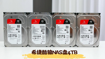 从硬盘选择到阵列搭建，从部署到运维——希捷酷狼NAS盘4TB实测