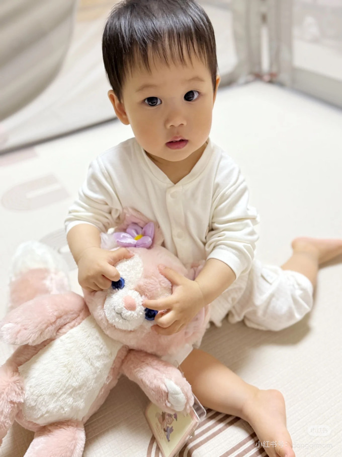 佳贝艾特婴儿奶粉