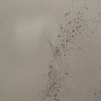 换季清洁大作战｜春日焕新清洁好物，全屋清爽不费力