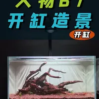 从配缸到开缸全过程+造景，久物B7的实际案例！ #开缸教程 #新手养鱼 #开缸养水 #养鱼日记 #鱼缸造景