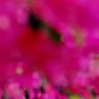 长焦相机#20倍光学变焦 #4K拍摄相机#遥控器拍摄#单反相机