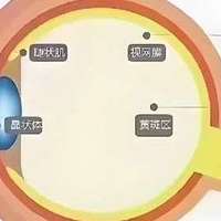 叶黄素优质款看这里？十大名牌叶黄素红榜，精选汇总
