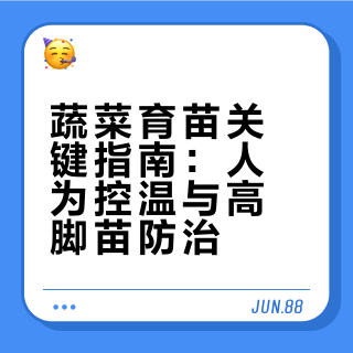 不管育苗还是种植，这几点比什么都重要，出苗好还没有高脚苗 #上热门🔥
