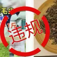喝的是茶还是毒？315十年复盘，揭开茶叶圈真相，看完手心冒汗