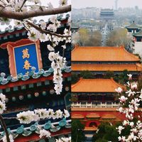 后悔没早看！打工人春日Citywalk治愈指南：2条路线+避坑清单，轻松找回生活松弛感
