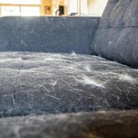 2026宠物空气净化器推荐分享 | 宠物空气净化器是不是智商税？年度十大宠物空气净化器品牌推荐排行榜！美的、舒乐氏、米家、希喂、霍尼韦尔强强对决！揭秘2026宠物空气净化器高性价比优选款式！