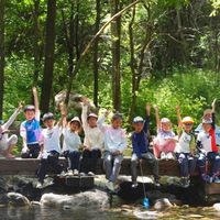 孩子走800米就崩溃？3-8岁亲子徒步避坑指南：轻松、安全、娃超爱