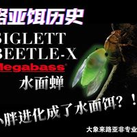 大象来路亚非专业测评61Megabass水面蝉历史