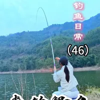 春季野钓之，春钓板鲫。 #钓鱼 #钓鱼人就是这么疯狂  #创威凌天三代 #原来钓鱼才是抖音运动顶流 #鱼无缺吴庆钓鱼@创威官方旗舰店
