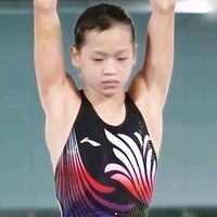 全红婵一战封神的2020年全国跳水大赛