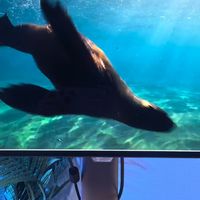 首发冲了蚂蚁电竞ANT275ZQE，真实使用感受不吹不黑