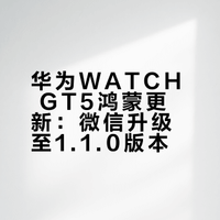 华为GT5这波更新太藏了！微信直接支棱