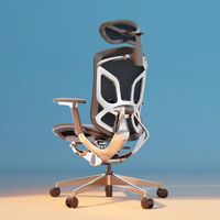 🔥久坐党封神！有谱蝴蝶2.0尊享版｜护腰+颜值双在线✨