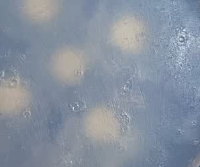 DHC橄榄蜂蜜皂90g×2，温和深层清洁，洗后不紧绷