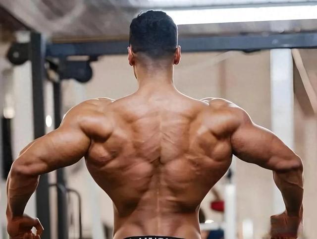 🔥三分化训练第二天：背+二头“黄金组合”