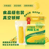 🌽2025 新玉米！十月稻田黄糯玉米，糯到拉丝太上头