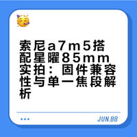 油菜花田的春日来信与小狗的治愈时光