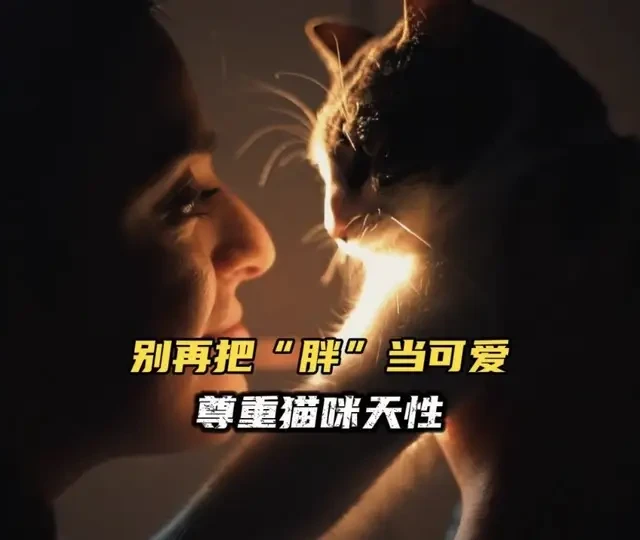 别再把“胖”当可爱！ #弗列加特体态猫粮 #猫粮 #弗列加特红皮书 #科学养宠攻略 #万物可爱计划