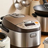 普销电饭煲排名前十名的品牌综合评测：电饭锅哪个牌子质量好？

