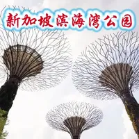 新加坡～滨海花园