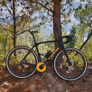 TREK DOMANE瓜车形态