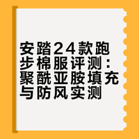 安踏羚羊标 跑步棉服 实物展示