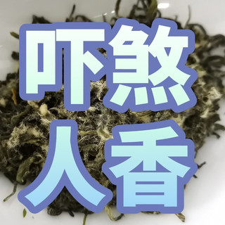 碧螺春上市在即，哪个牌子值得买？三万昌/碧螺/吴侬/咏萌推荐