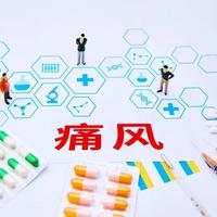 痛风百家百方：中医治痛风的方药宝库
