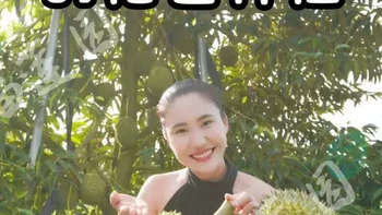 海南和云南版纳的榴莲种植有何不同？ #国产榴莲 #猫山王榴莲 #耐寒榴莲#这也能开播  #返工开播的一天