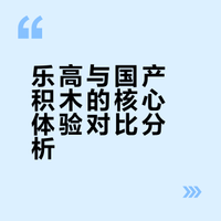 积木的选择与体验